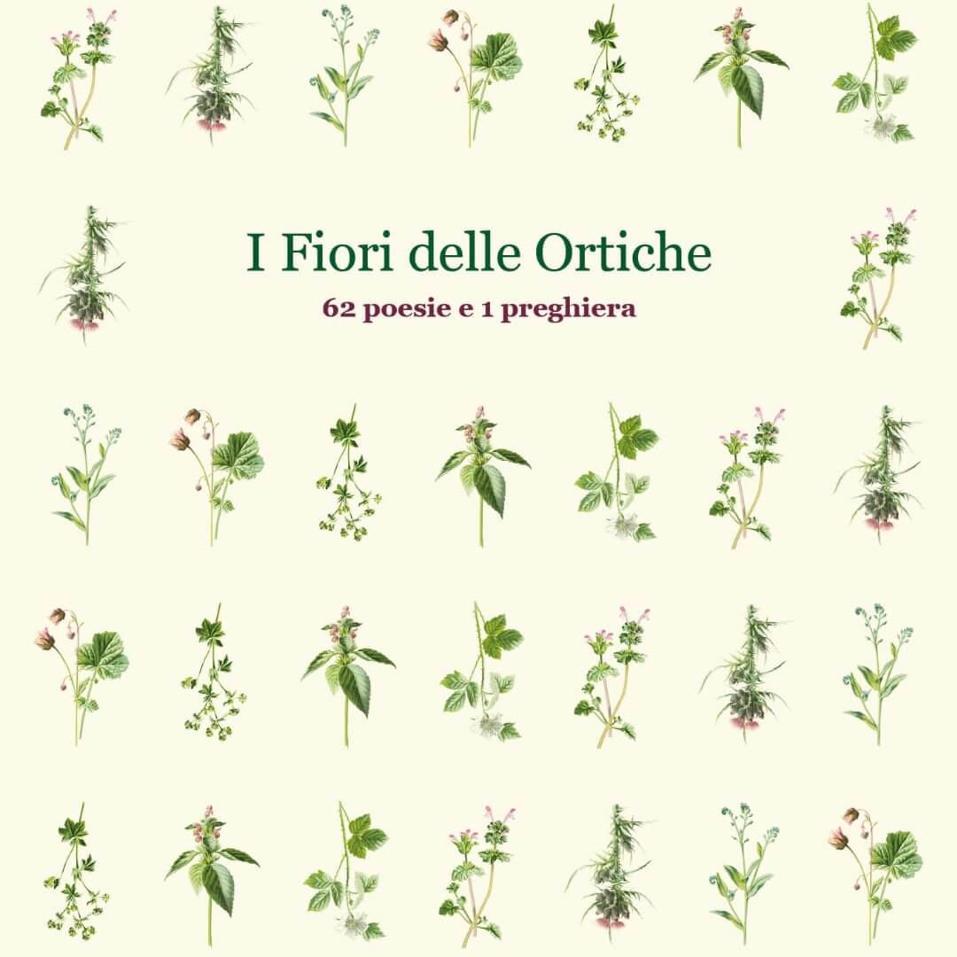 Melismelis sostiene il Cdd Ferraris con il libro “I Fiori Delle Ortiche”