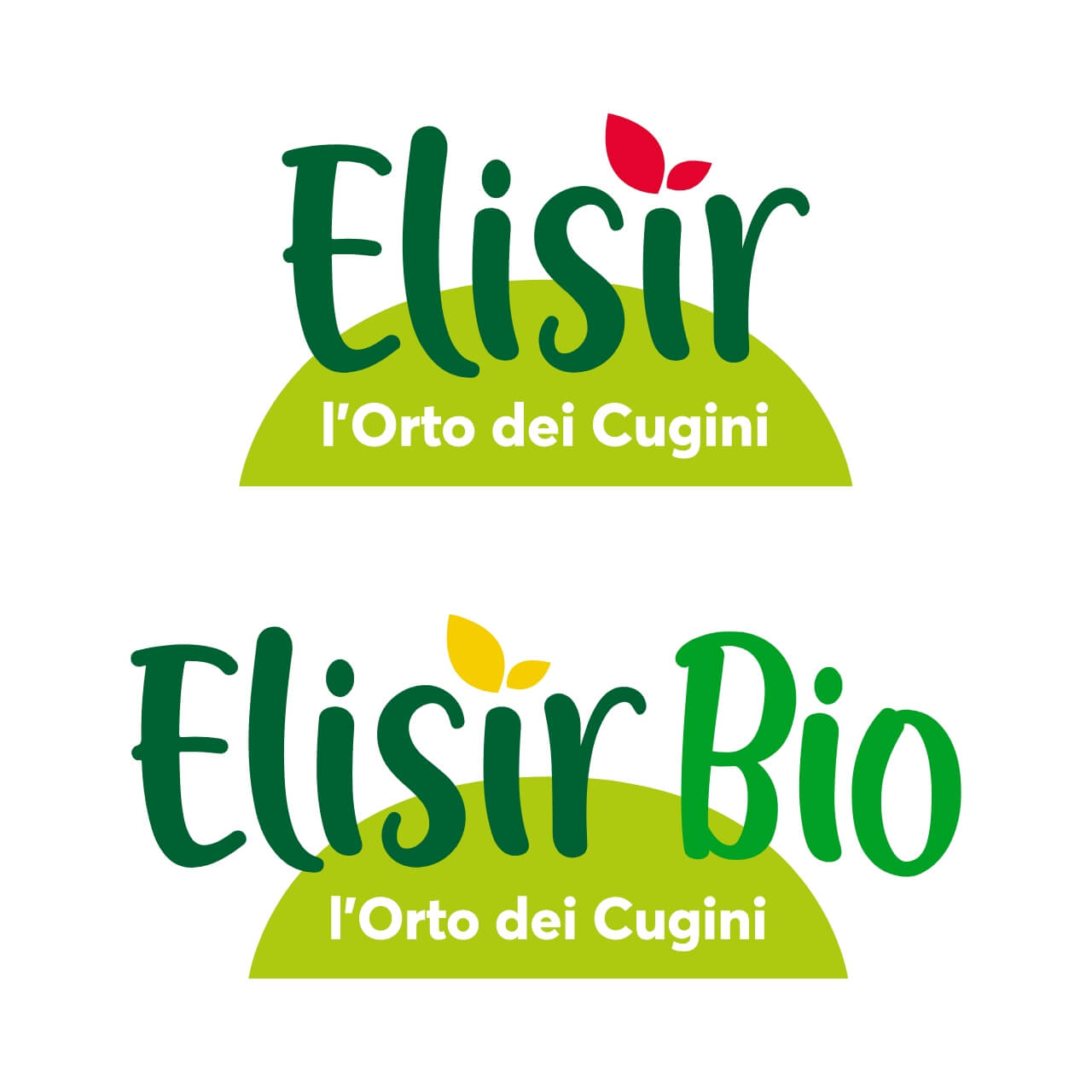 Per Cedior lavoriamo per far crescere il brand Elisir - Nuovo logo, nuovo payoff