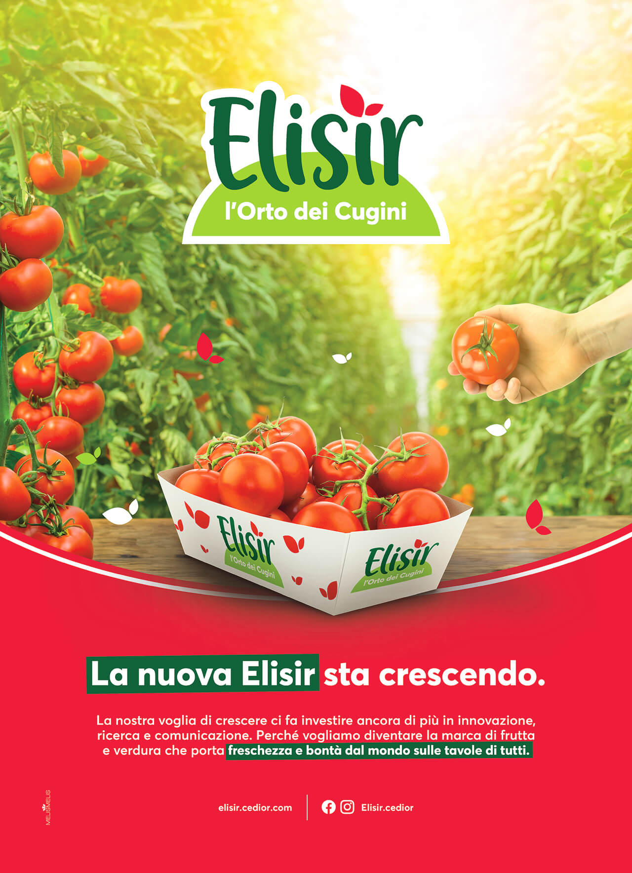 Per Cedior lavoriamo per far crescere il brand Elisir - Una prima campagna B2B