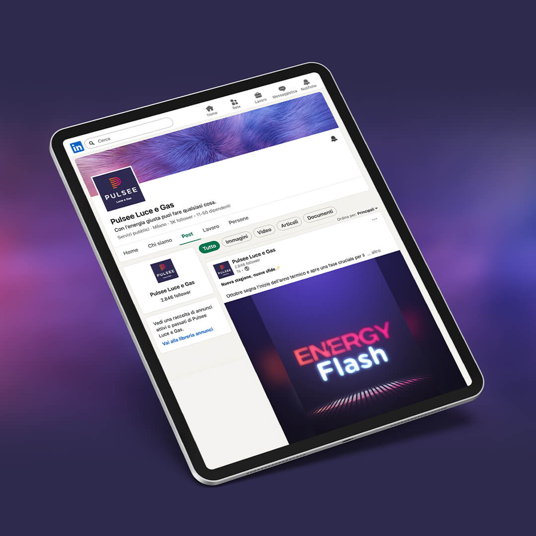 Pulsee Luce e Gas: su LinkedIn con Melismelis